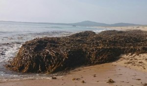 PLAYA-VILAR-ARGAZO-5