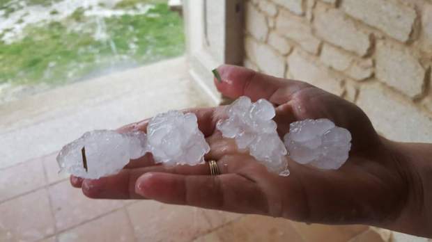 FB_IMG_1460559270799