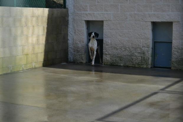 301684_482117325171193_375304535_n