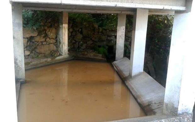 received_1160786207318305