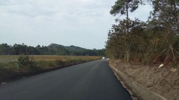 Campo de patas h.jpg